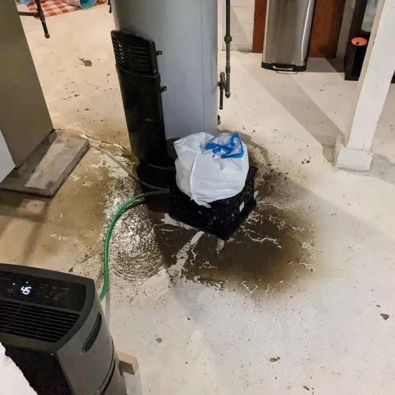Sewage Backup Cleanup Service in Aleutians West Census Area, AK